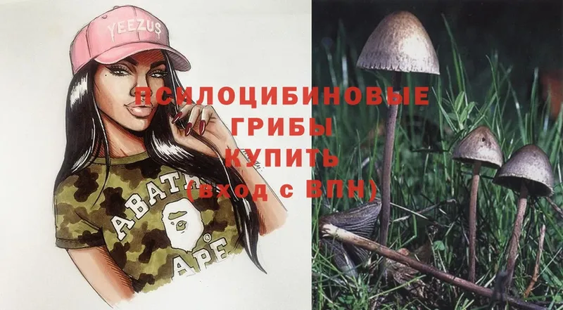 Псилоцибиновые грибы Magic Shrooms  купить  цена  Луза 